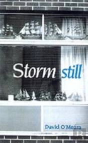 Storm Still