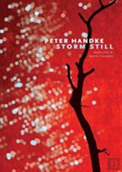 Bertrand.pt - Storm Still