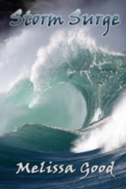 Bertrand.pt - Storm Surge
