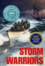 Storm Warriors