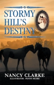 Stormy Hill'S Destiny