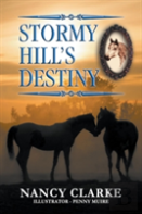 Stormy Hill'S Destiny