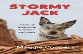 Stormy Jack