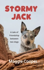 Stormy Jack