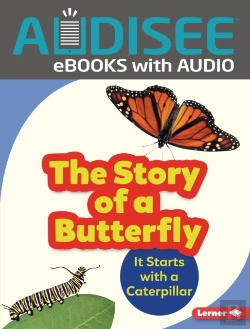 Bertrand.pt - Story Of A Butterfly