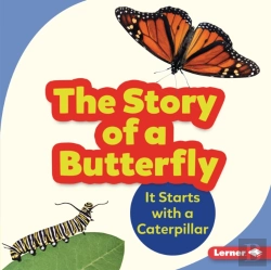 Bertrand.pt - Story Of A Butterfly