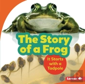 Story Of A Frog