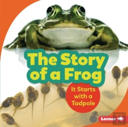 Bertrand.pt - Story Of A Frog
