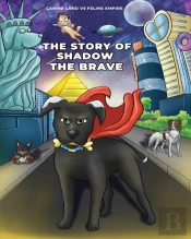 Story Of Shadow The Brave