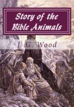 Story Of The Bible Animals