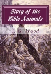 Story Of The Bible Animals