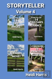 Storyteller Volume 4
