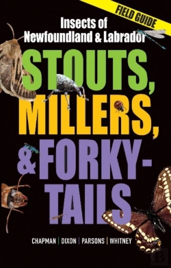 Bertrand.pt - Stouts, Millers, And Forky-Tails