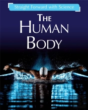 Straight Forward With Science: The Human Body
