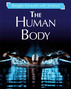 Bertrand.pt - Straight Forward With Science: The Human Body