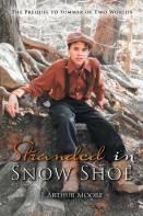 Stranded In Snow Shoe