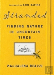 Stranded