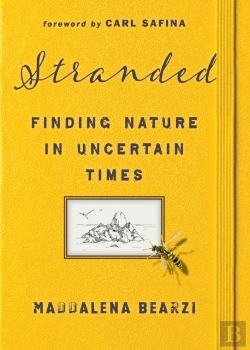 Bertrand.pt - Stranded