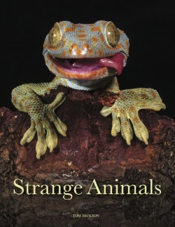 Bertrand.pt - Strange Animals