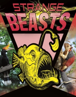Bertrand.pt - Strange Beasts