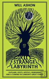 Strange Labyrinth