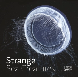 Bertrand.pt - Strange Sea Creatures