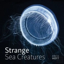 Bertrand.pt - Strange Sea Creatures