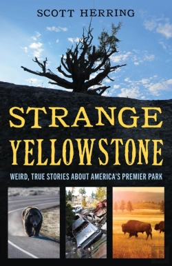 Bertrand.pt - Strange Yellowstone