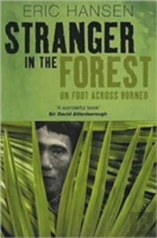 Stranger In The Forest