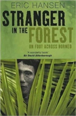 Bertrand.pt - Stranger In The Forest
