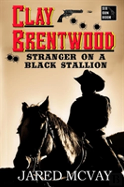 Bertrand.pt - Stranger On A Black Stallion