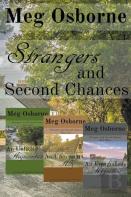 Strangers And Second Chances