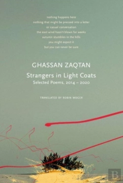 Bertrand.pt - Strangers In Light Coats