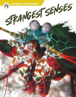 Bertrand.pt - Strangest Senses
