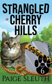 Strangled In Cherry Hills