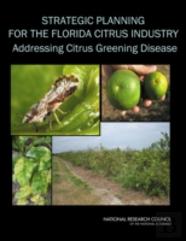 Strategic Planning For The Florida Citrus Industry
