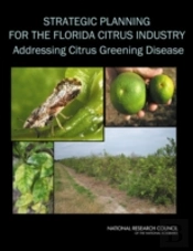 Strategic Planning For The Florida Citrus Industry