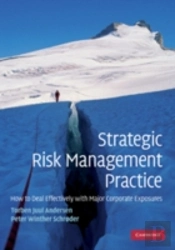 Strategic Risk Management Practice