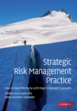 Bertrand.pt - Strategic Risk Management Practice