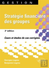 Stratégie Financière Des Groupes (2e Édition)