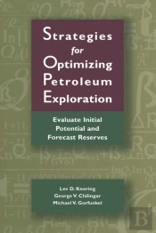 Strategies For Optimizing Petroleum Exploration: