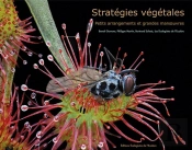 Stratégies Végétales ; Petits Arrangements Et Grandes Manoeuvres