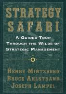 Strategy Safari