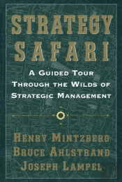 Strategy Safari