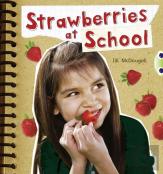 Strawberries At School (Orange A) Nf 6-Pack