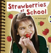Strawberries At School (Orange A) Nf 6-Pack