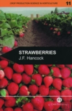 Bertrand.pt - Strawberries