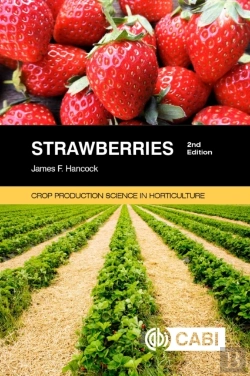 Bertrand.pt - Strawberries
