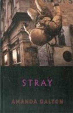 Bertrand.pt - Stray
