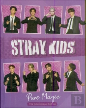 Stray Kids: Pure Magic